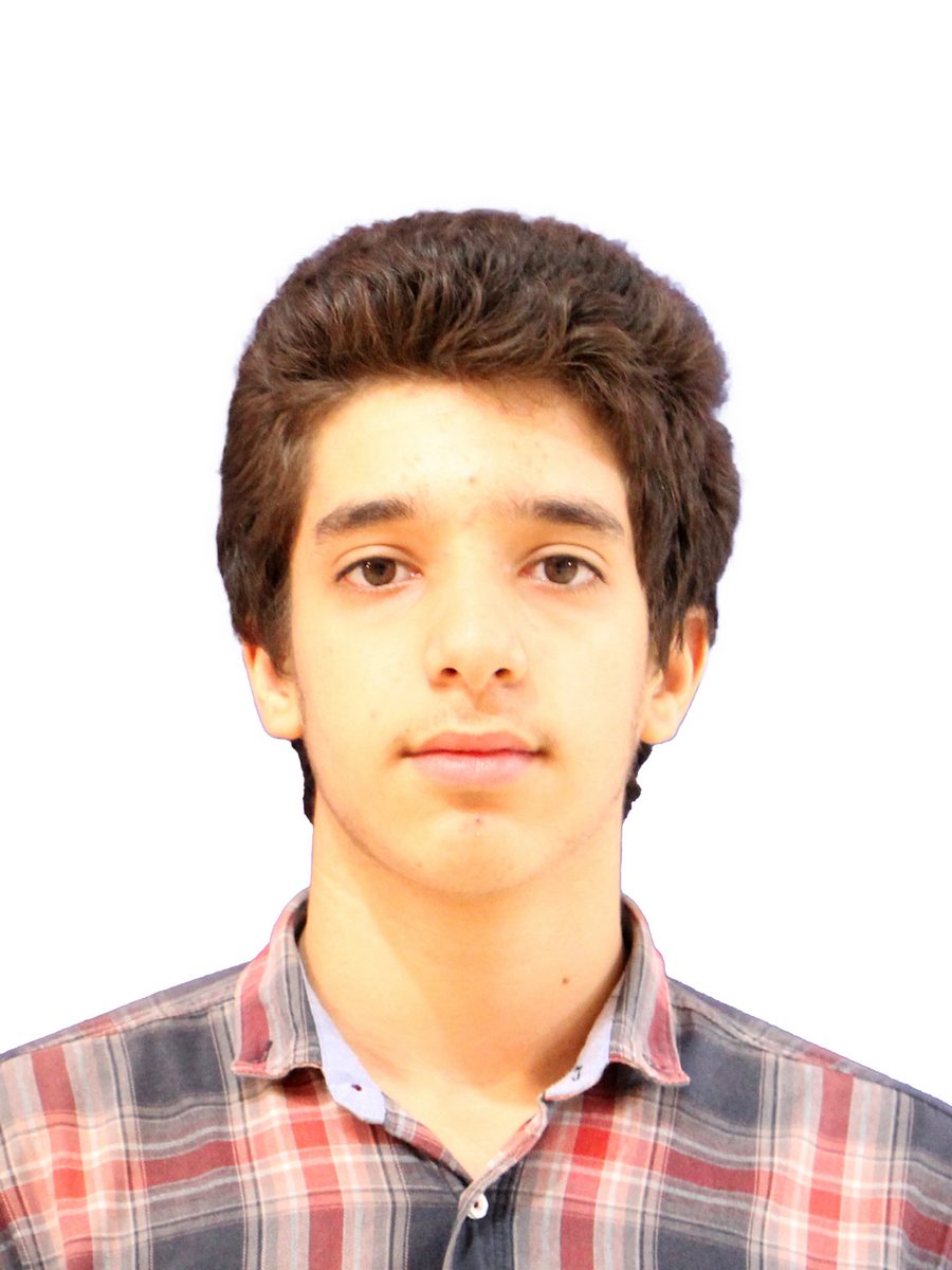 میرصالحی سیدمحمدپارسا